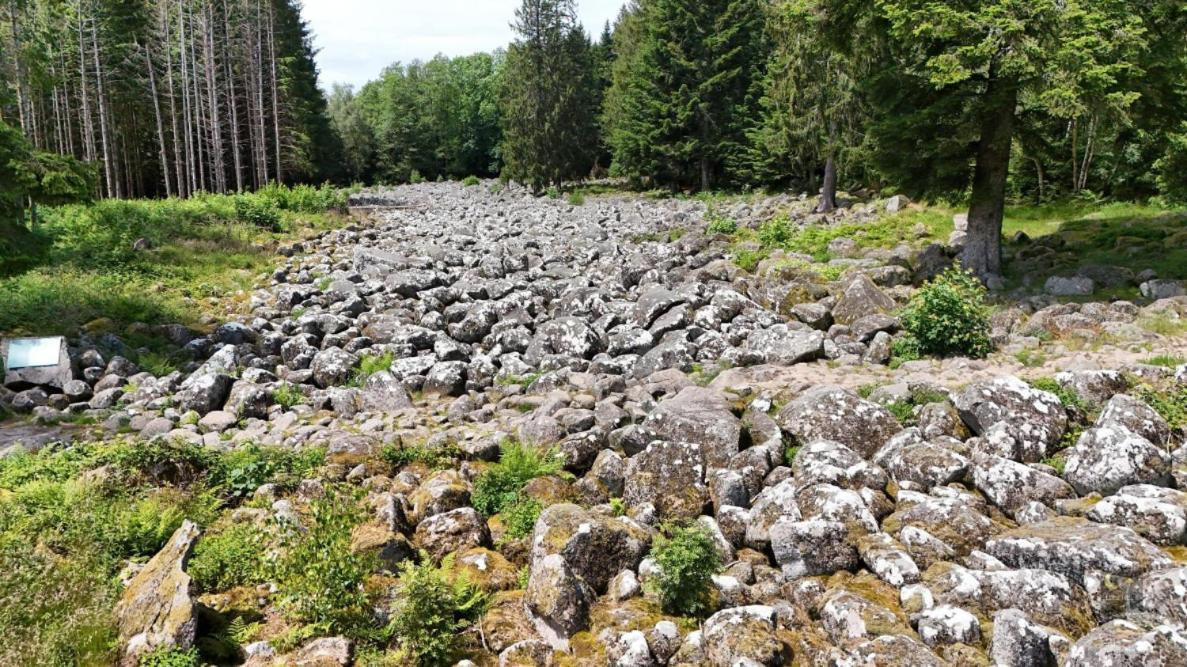 Chalet Aster 3 Etoiles Arrentès-de-Corcieux Kültér fotó